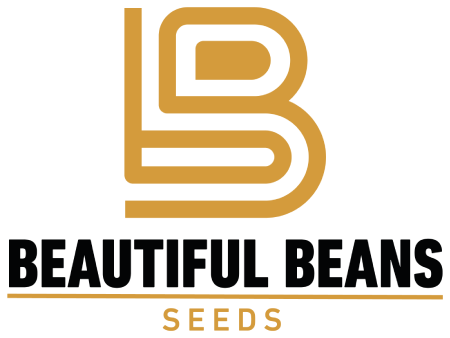 BBbseeds