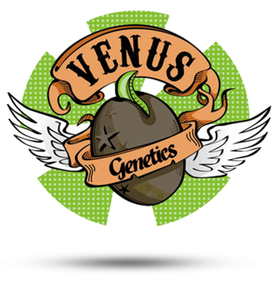 Venus Genetics