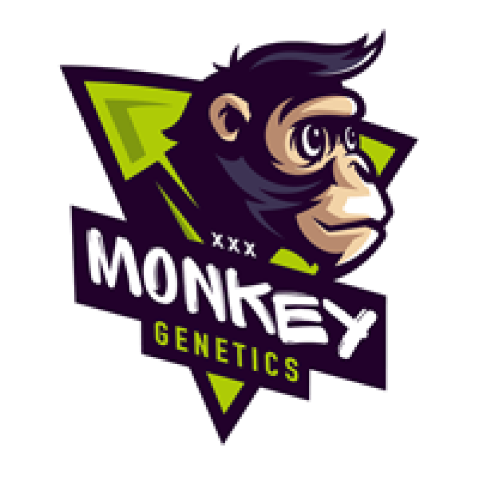 Monkey Genetics