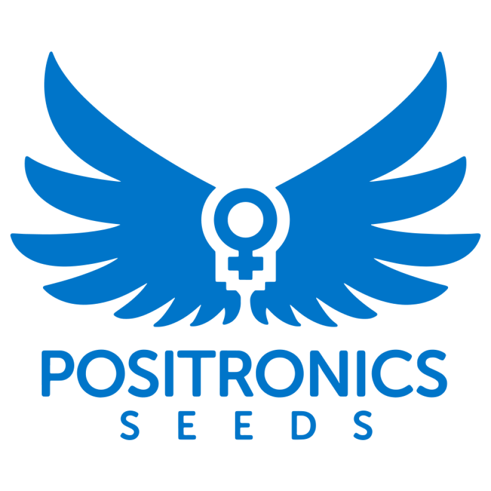 Positronics
